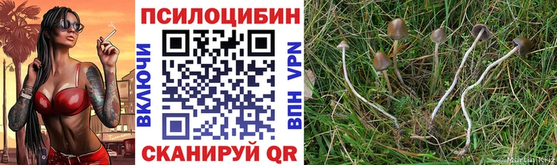 Псилоцибиновые грибы прущие грибы  Старый Оскол 